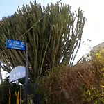 Il Girasole Bed & Breakfast Noto