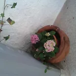 Bed & Breakfast Il Girasole Noto