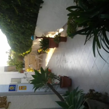 Il Girasole