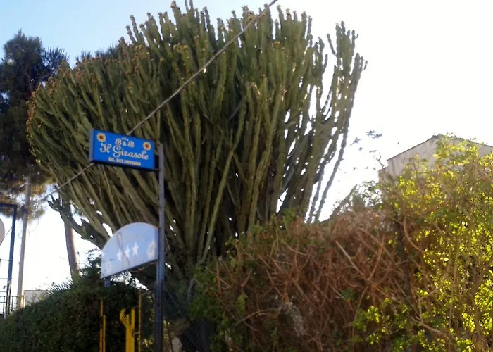 Il Girasole לינה וארוחת בוקר נוטו