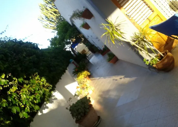 Il Girasole נוטו