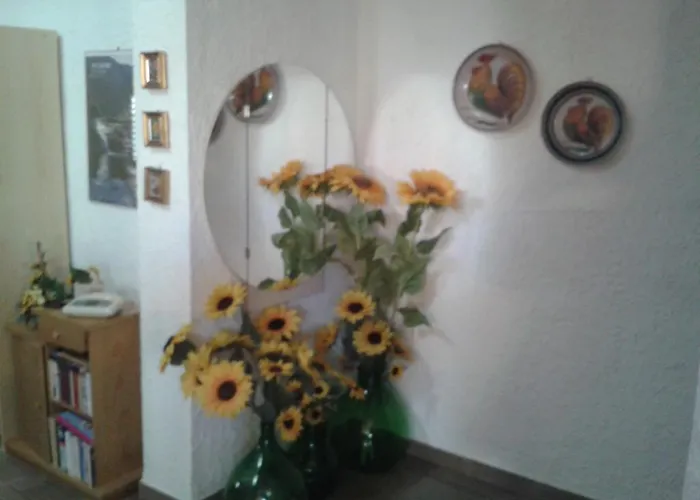 לינה וארוחת בוקר Il Girasole