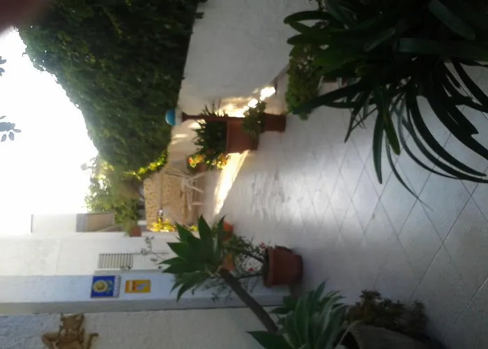 Il Girasole