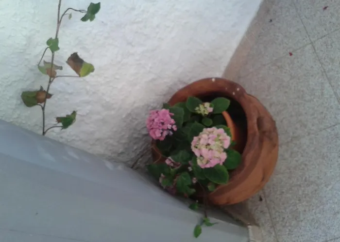לינה וארוחת בוקר Il Girasole נוטו