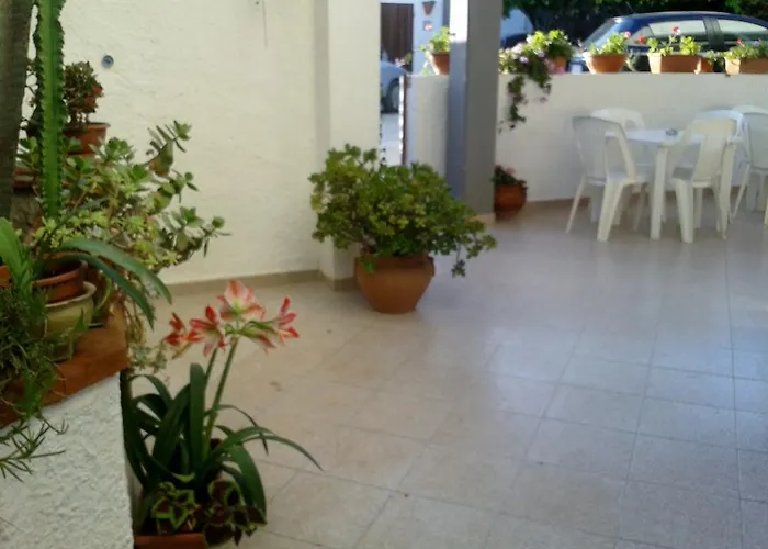 Il Girasole נוטו