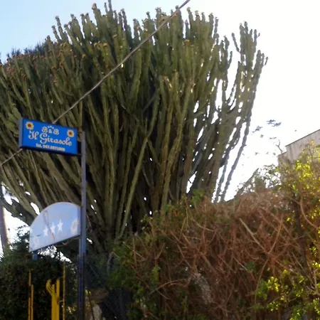 Il Girasole فندق مبيت وإفطار نوتو