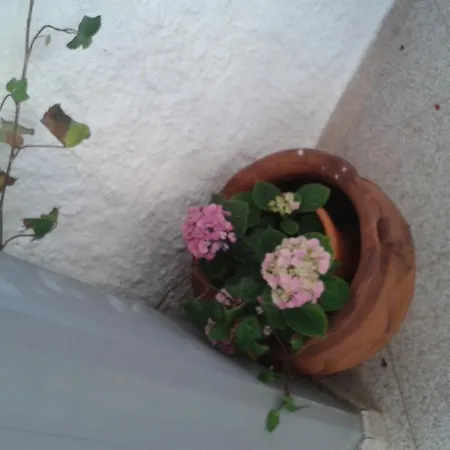 Alojamento de Acomodação e Pequeno-almoço Il Girasole Noto