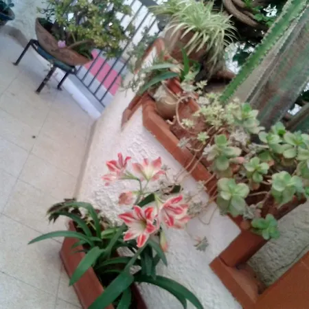 فندق مبيت وإفطار Il Girasole *