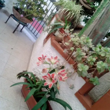 Bed & Breakfast Il Girasole *